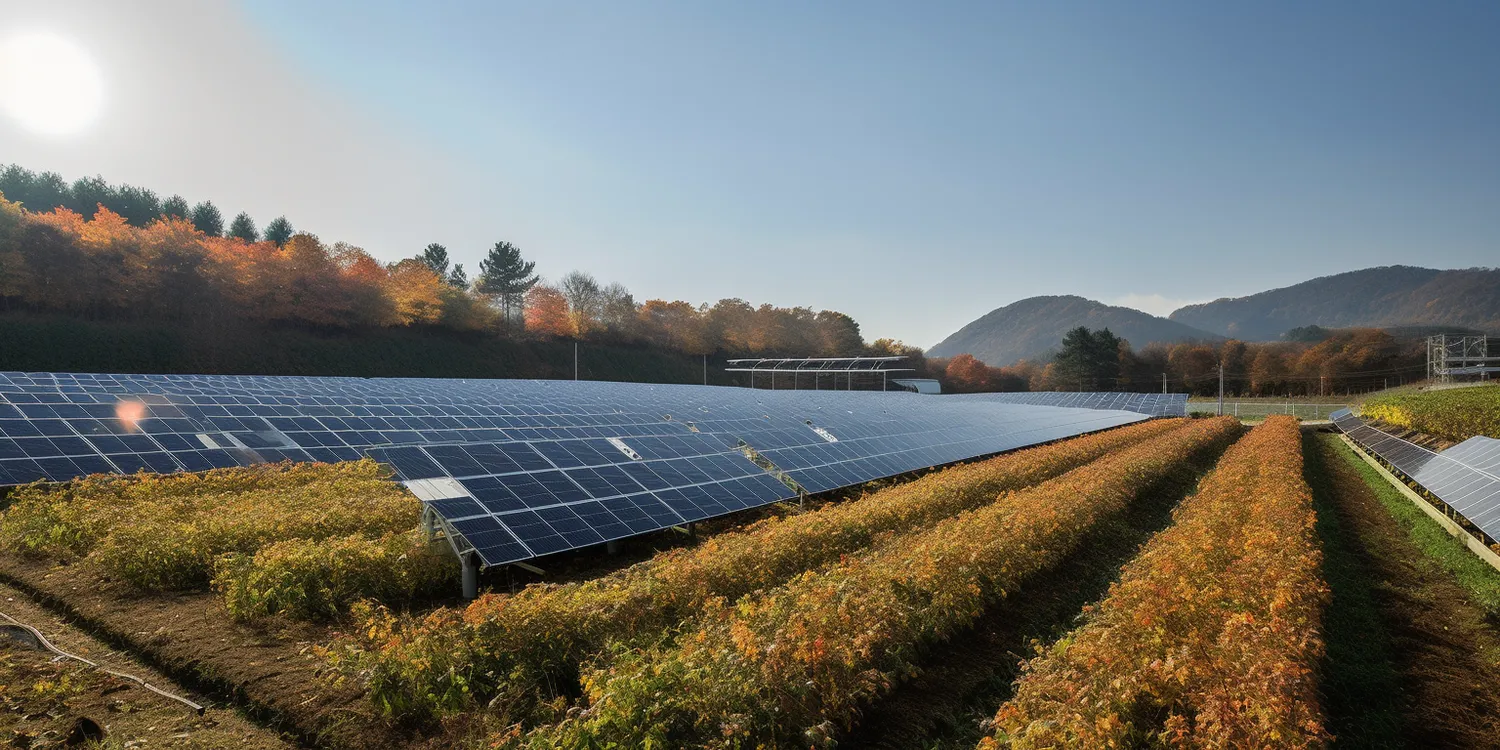 Jak najlepiej ustawić panele fotowoltaiczne?