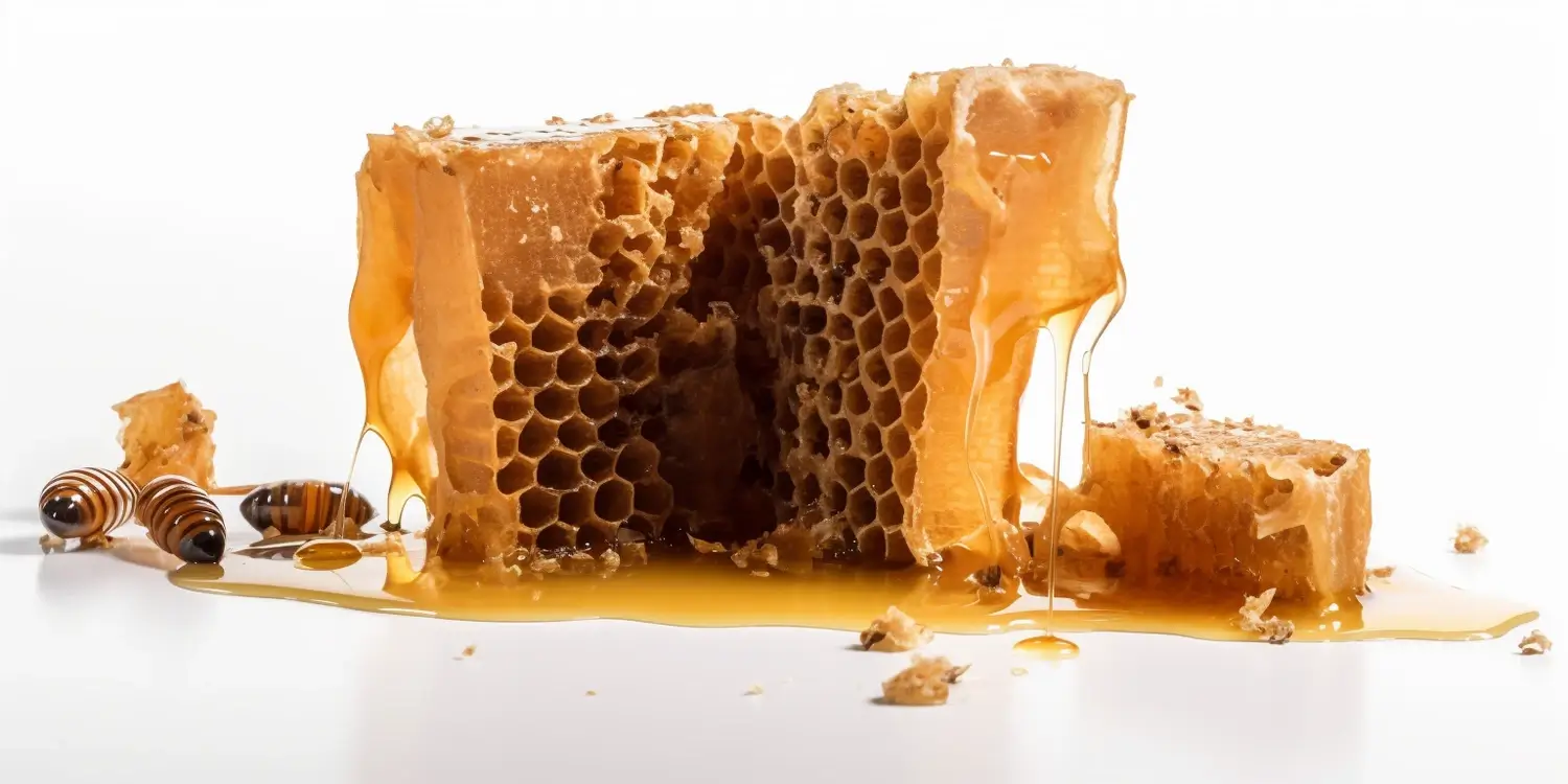 Co to jest miód spadziowy?