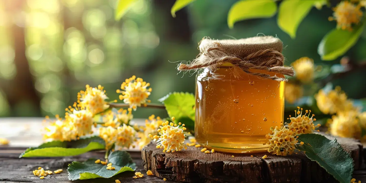 Miód nektarowo-spadziowy pomocny w jakich schorzeniach?