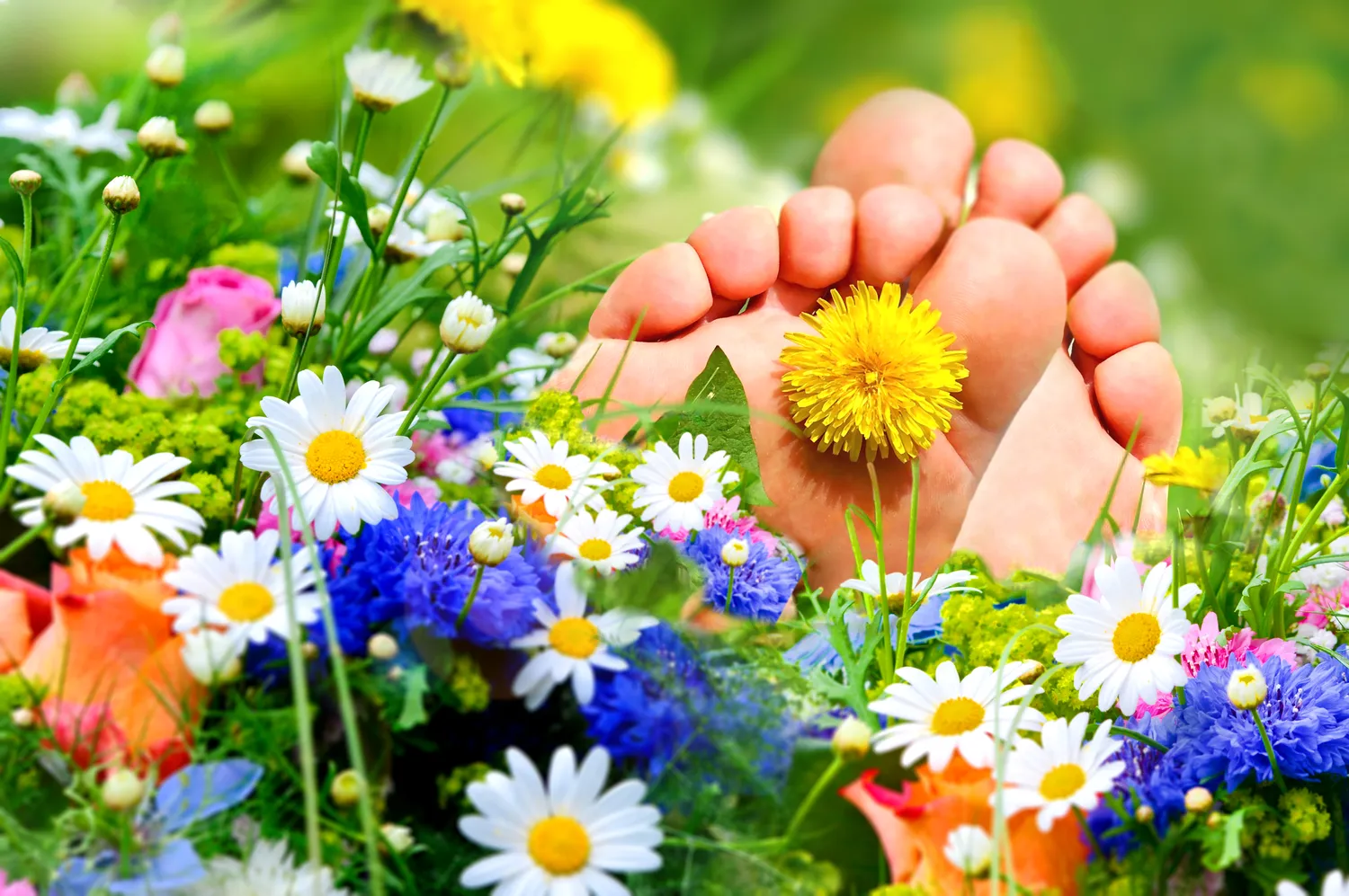 Pedicure leczniczy - czym jest, jak wygląda, kiedy warto go wybrać?